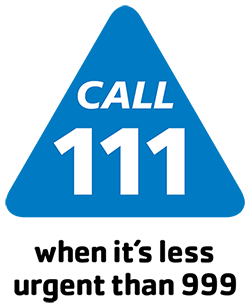 Image of NHS 111 Logo